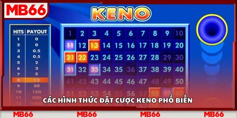 Các hình thức đặt cược Keno phổ biến&nbsp;