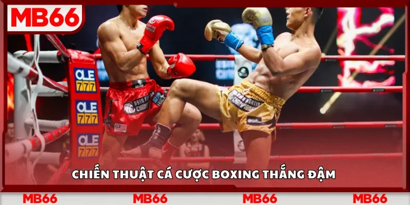 Chiến thuật cá cược boxing thắng đậm&nbsp;