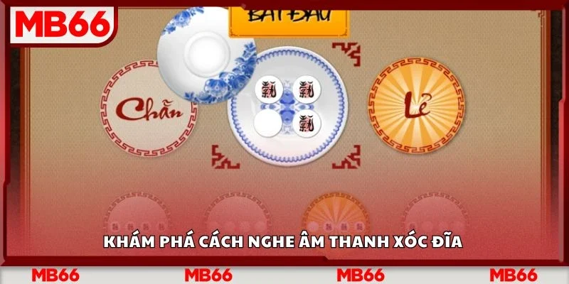 Khám phá cách nghe âm thanh xóc đĩa&nbsp;