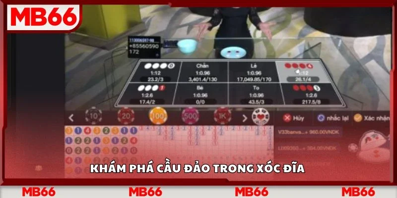 Khám phá cầu đảo trong xóc đĩa&nbsp;