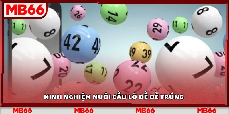 Kinh nghiệm nuôi cầu lô đề dễ trúng&nbsp;