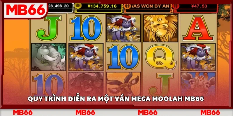 Quy trình chơi một ván Mega Moolah Mb66&nbsp;&nbsp;&nbsp;