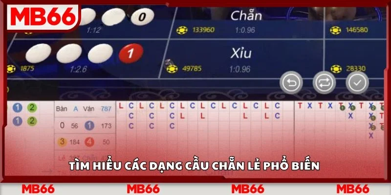 Tìm hiểu các dạng cầu chẵn lẻ phổ biến&nbsp;