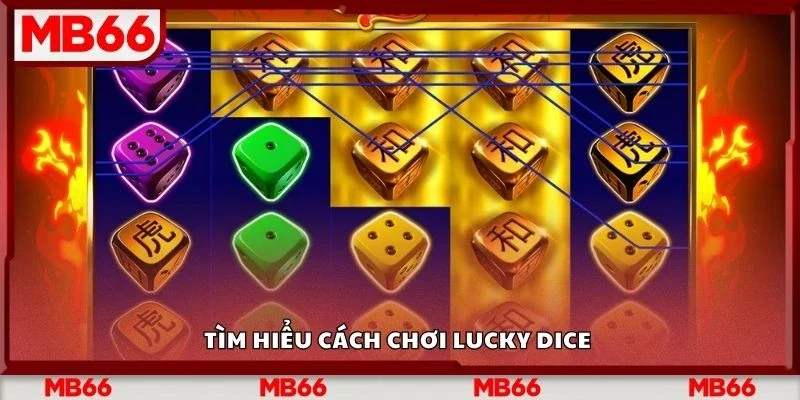 Tìm hiểu cách chơi lucky dice&nbsp;
