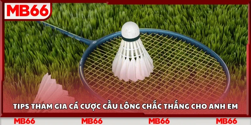 Tips cá cược cầu lông chắc thắng&nbsp;
